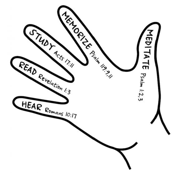 Hand of the Word - Five Ways to Hold on to God's Word the Bible