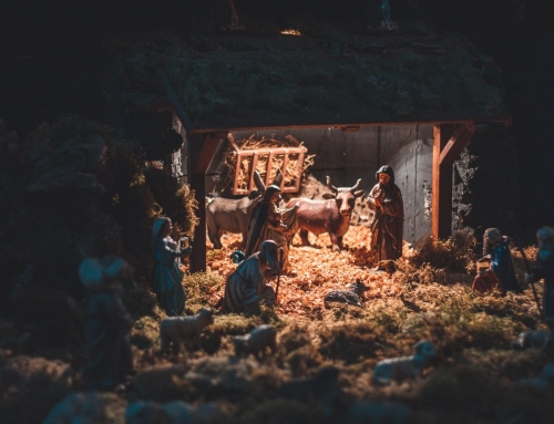Challenges of the First Christmas – Pressing on in Obedience