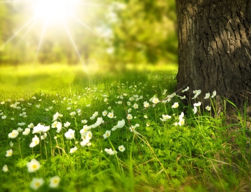 The Light Of Jesus Opens Eyes