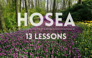 Hosea Lessons