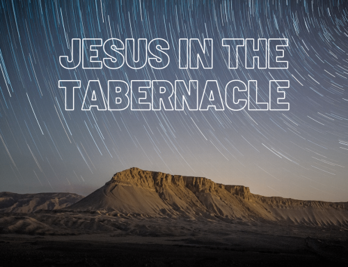 Jesus In The Tabernacle