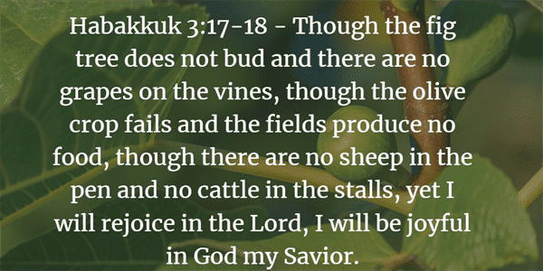 Habakkuk 3:17-18 Bible Verse