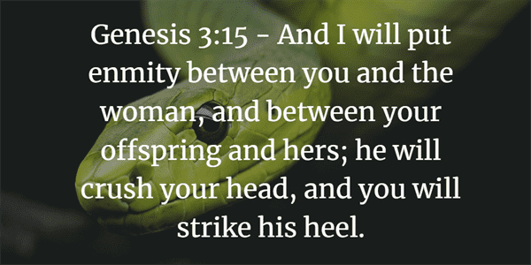 Genesis 3:15 Bible Verse