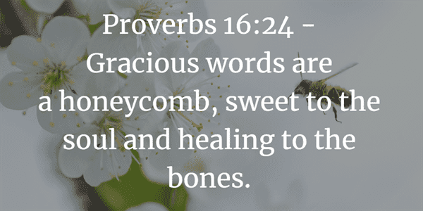 Proverbs 16:24 Bible Verse