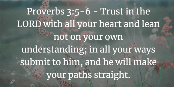 Proverbs 3:5-6 Bible Verse