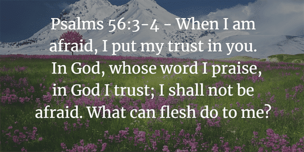 Psalm 56:3-4 Bible Verse