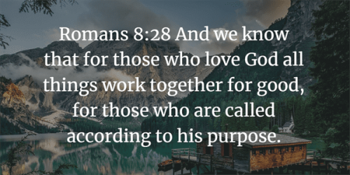 Ephesians 3 Bible Study Guide And Commentary - With Questions