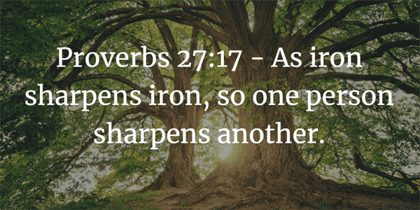 Proverbs 27:17 Verse