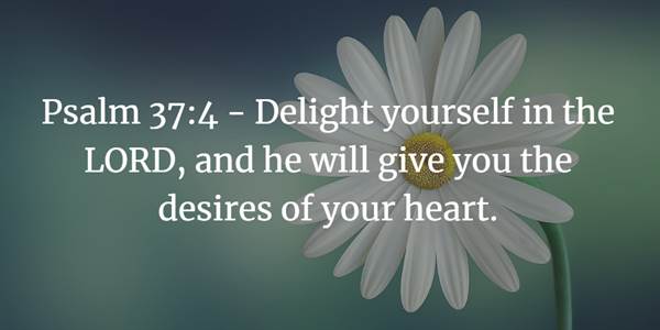 Psalm 37:4 Bible Verse