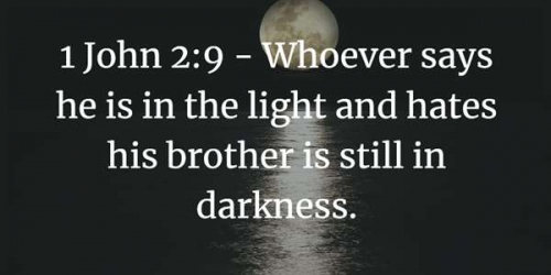 1st-john-2-1-14-inductive-bible-study-and-questions