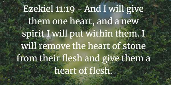 Ezekiel 11:19 Bible Verse