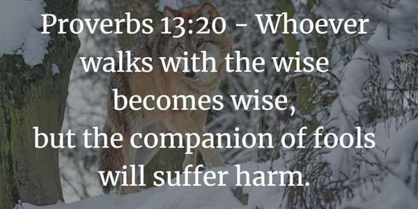Proverbs 13:20 Bible Verse