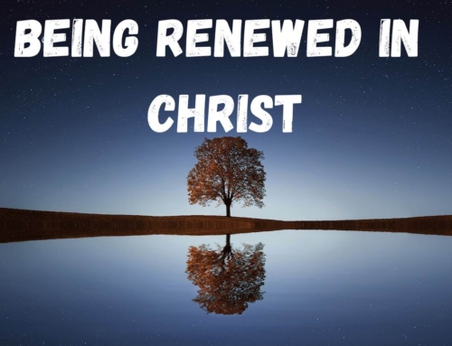 Being Renewed In Christ