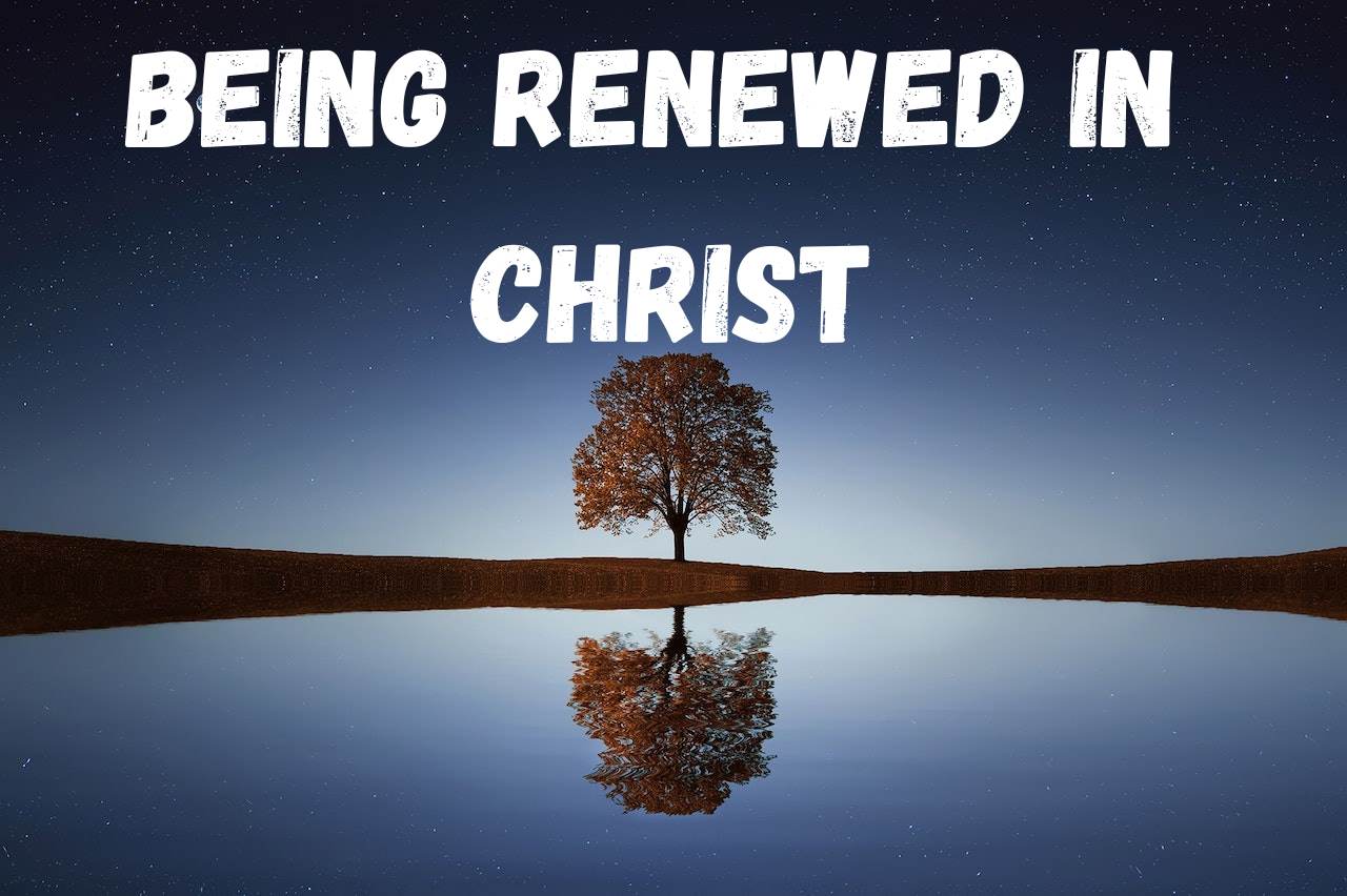 Being Renewed in Christ