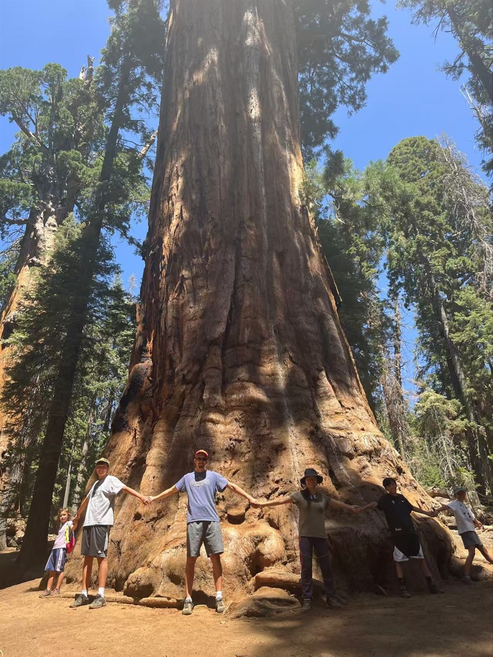 Us Around a Sequoia